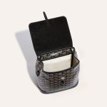 Goyard Alpin Mini Backpack Black - Image 5